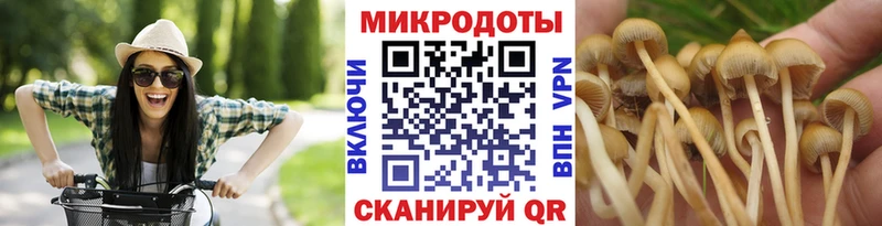 Псилоцибиновые грибы Cubensis  Купить  Петровск 