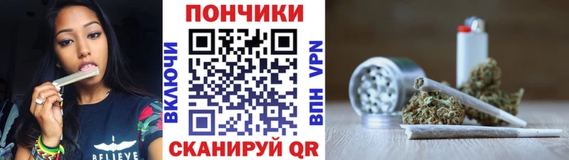 Бошки Шишки семена  Купить закладки  Петровск 